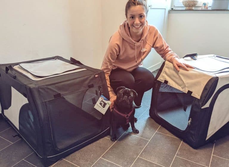Faltbare Hundetransportbox Test