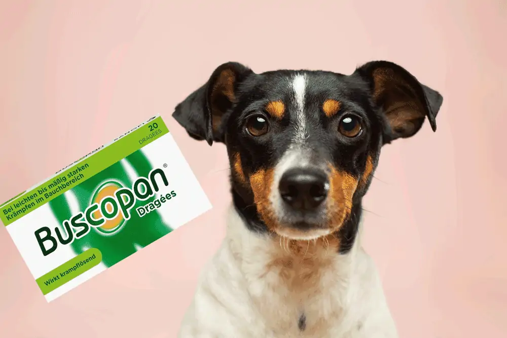 Buscopan Hund