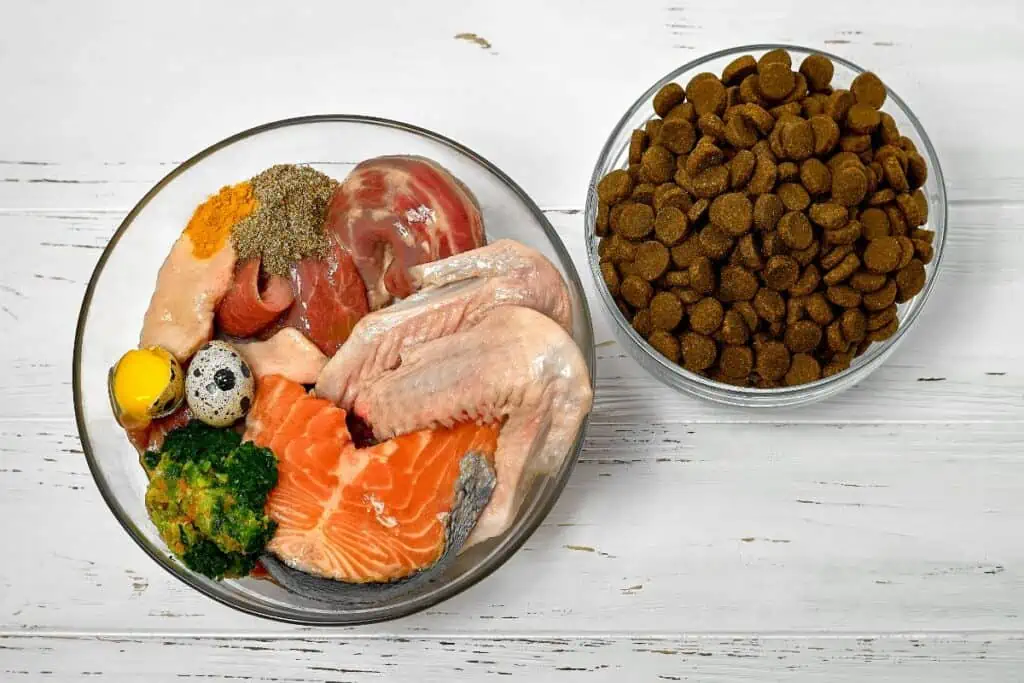 Die 5 besten Barf Trockenfutter im Test und Vergleich